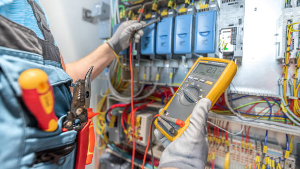Best Electric Panel Repair  in Aragon, GA